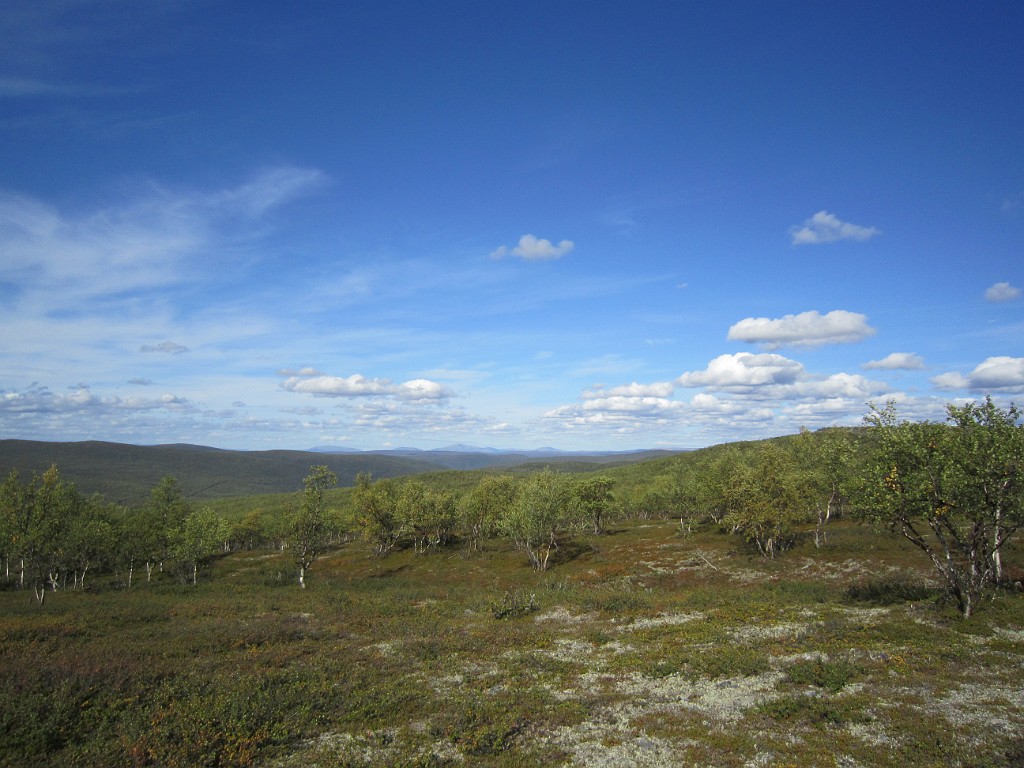 kesä 2011 399.jpg